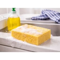 EPONGE VÉGÉTALE BLONDE...