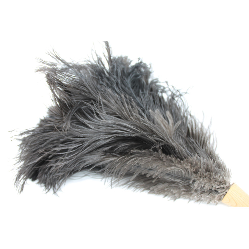 Plume à Poussière En Plumes D'autruche Réutilisable - Manche En Bois, Nettoyage Traditionnel